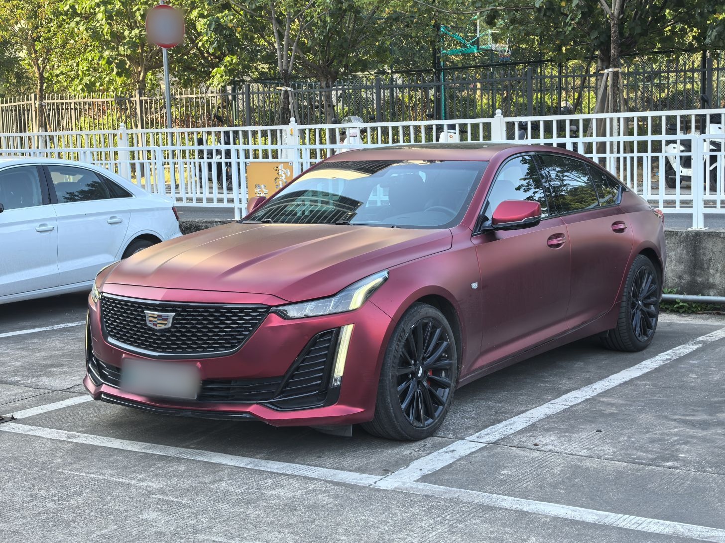 تحت مقدمة السيارة