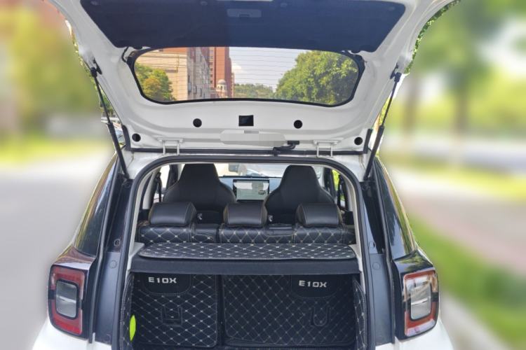 Used SOL E10X 2022 Flower Fairy Style Baby's Breath