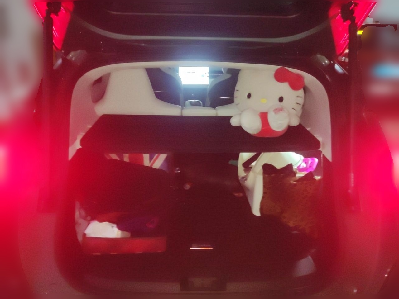 Zeekr X 2023 Rear-Drive YOU Edition 4 Seats — снимка 19