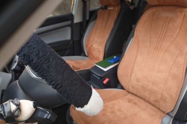 Used Volkswagen Tayron 2023 300TSI Two-Wheel-Drive Luxury Plus Advanced Edition
