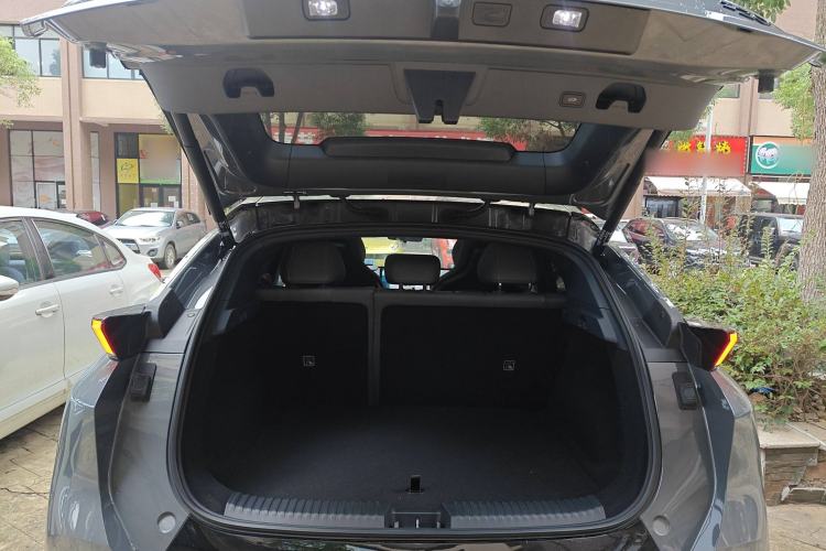 Used Lynk & Co Z20 2025 530 km Range Rear-Wheel Drive Max
