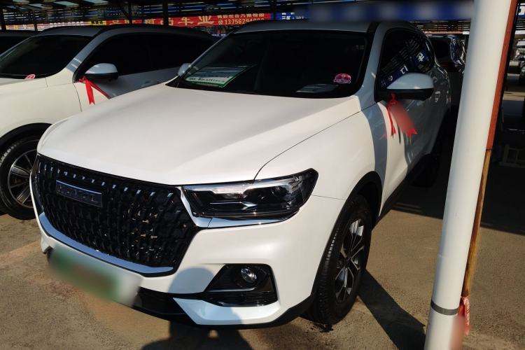 Used Haval H6 2023 National Trend Edition 1.5T Automatic Urban Version