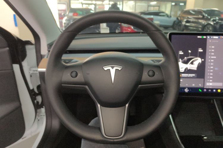 Used Tesla Model 3 2019 Standard Range Rear-Drive Upgraded Version
