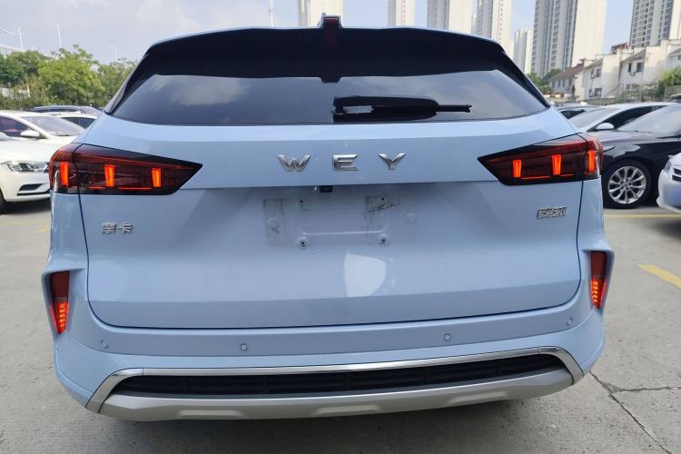 Used Wey Mocha 2021 2.0T Four-Wheel Drive Premium Edition
