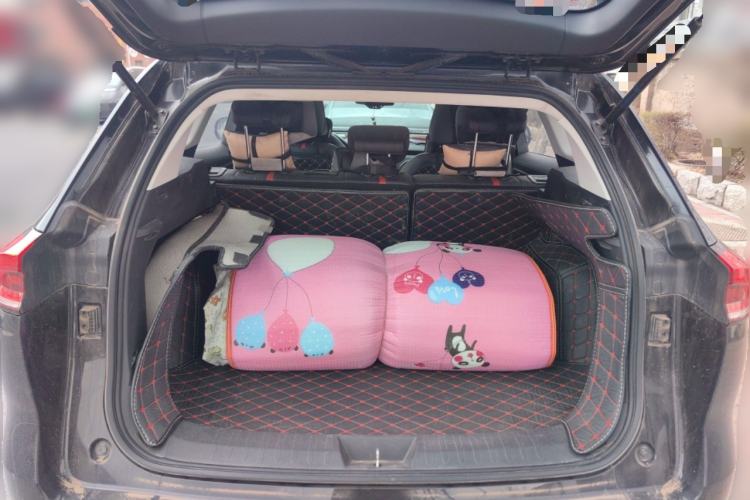 Used Haval H6 2021 National Trend Edition 1.5T Automatic Champion Version
