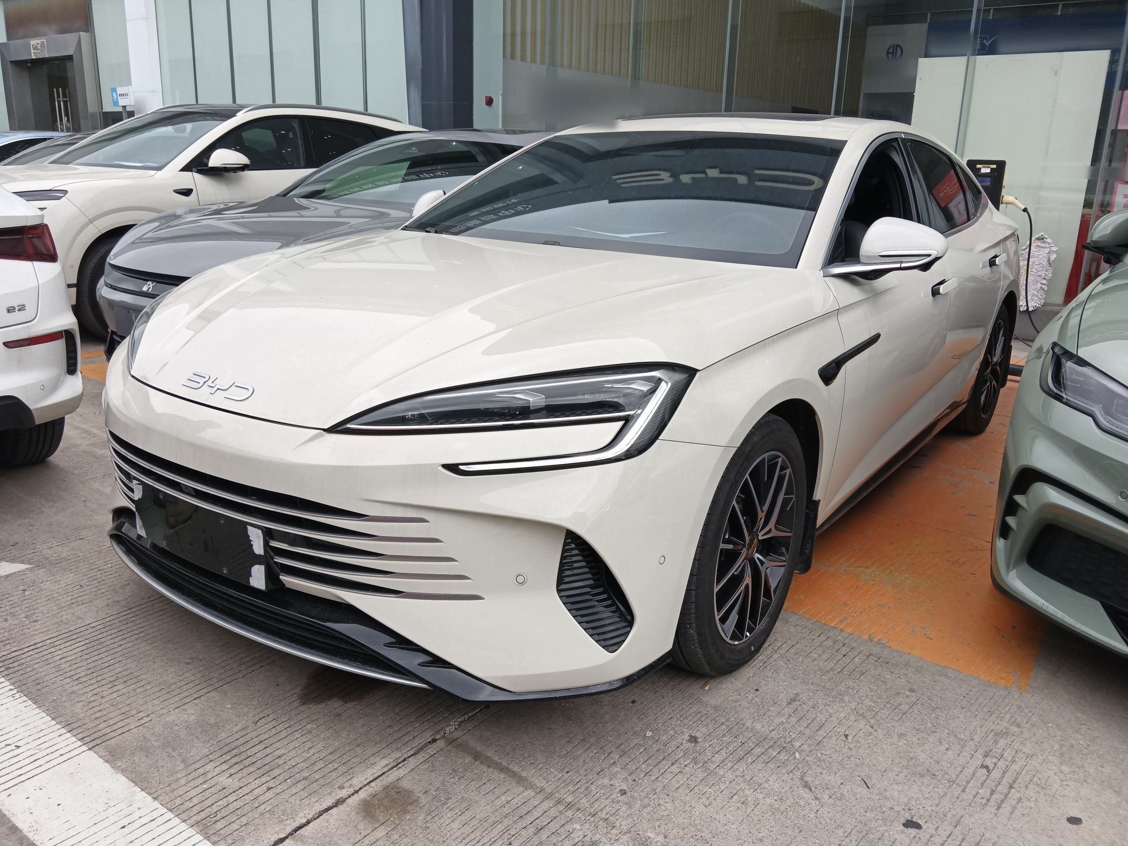 Parte inferior delantera