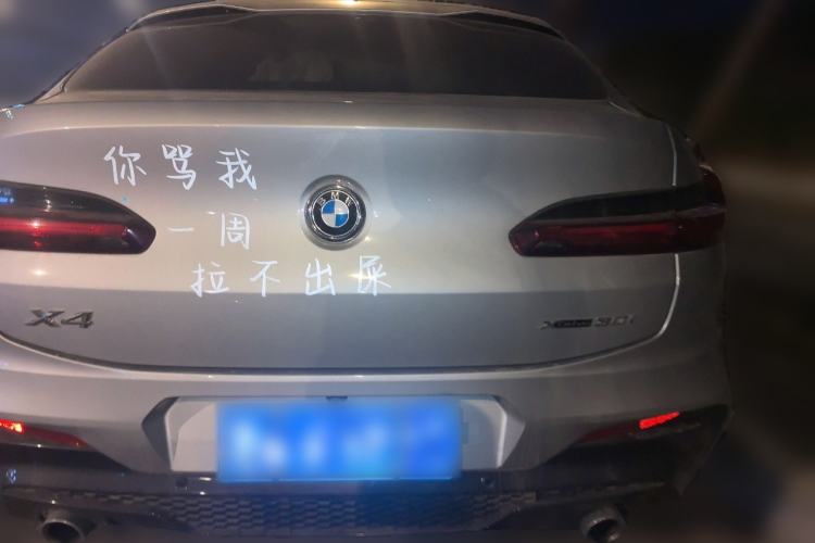 Used BMW X4 2019 xDrive25i M Sport Package