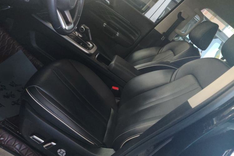 Used Tank 300 2024 2.0T Conqueror Left Front Seat