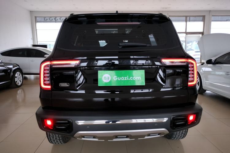 Used Haval DARGO 2022 2.0T DCT All-Wheel-Drive Xiaotianque Version Rear