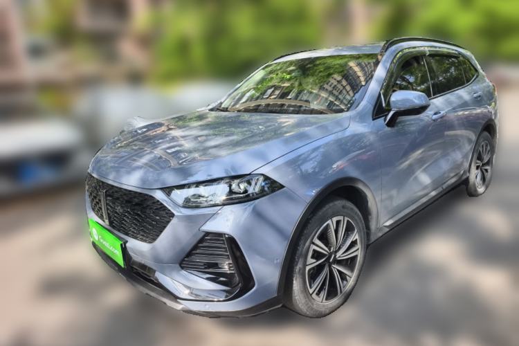 Used Wey Latte DHT-PHEV 2022 1.5T Two-Wheel Drive Big Cup