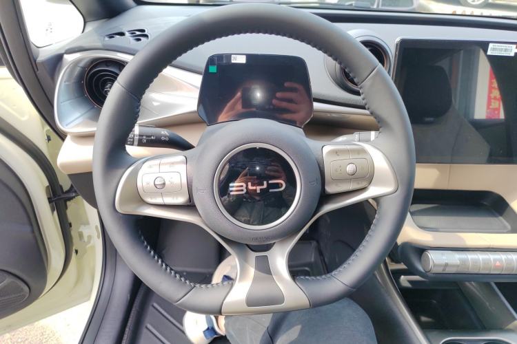 Used BYD Dolphin 2025 420km Free Edition
