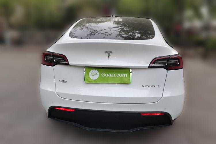 Used Tesla Model Y 2021 Standard Range Rear-Wheel Drive Version Rear