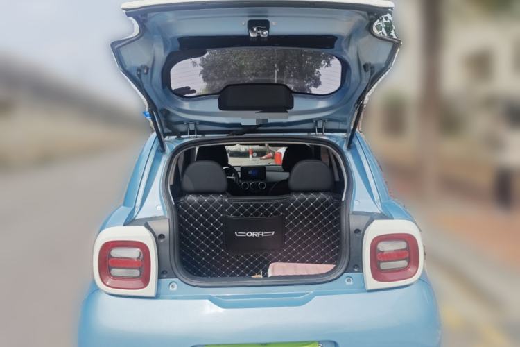 Used ORA Black Cat 2019 351 km Family Edition