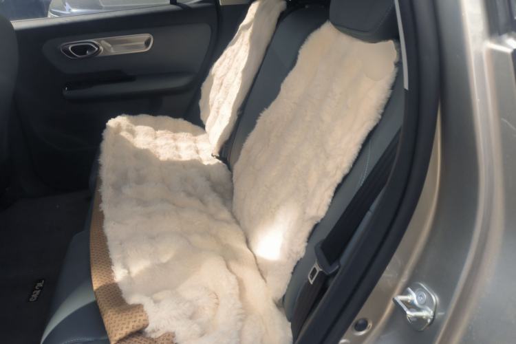 Used AION Y 2025 Plus 510 Zhihao Edition Left Rear Seat