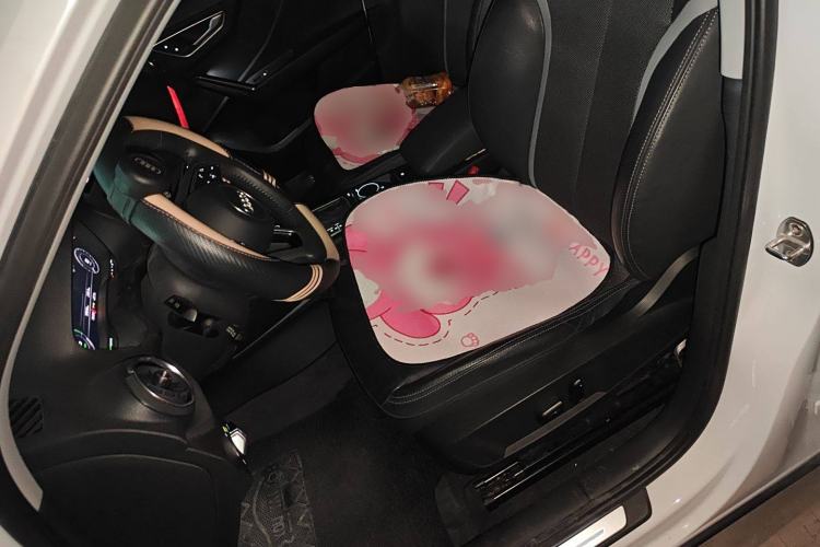 Used Audi Q2L e-tron 2019 Q2L e-tron Pure Electric Smart Style Left Front Seat