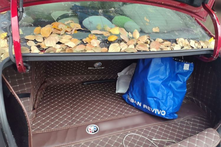 Used Buick GT 2017 15N Automatic Elite Version