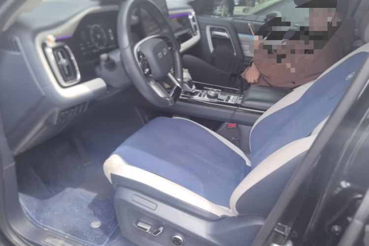 Used BAIC Off-Road BJ60 2022 2.0T Weekend Edition Five-Seater Left Front Seat