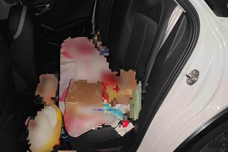 Used Audi Q2L e-tron 2019 Q2L e-tron Pure Electric Smart Style Left Rear Seat