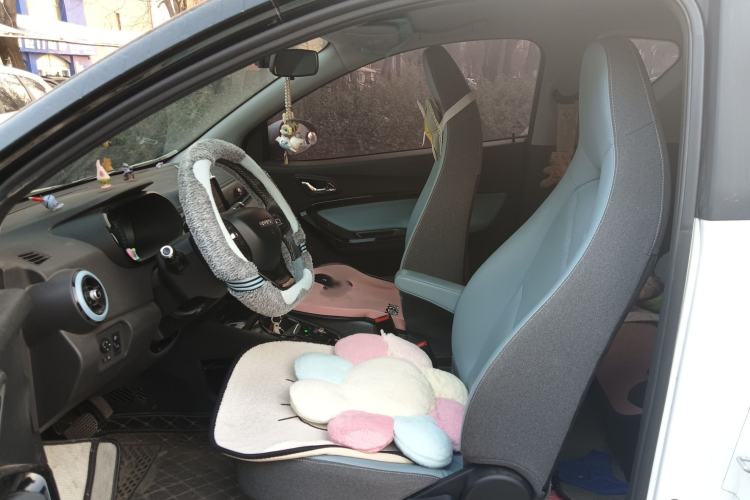 Used Chery Little Ant 2022 Revised Version Sweet Pink Edition Low-Sugar Version 30.6 kWh 30 kW 301 km