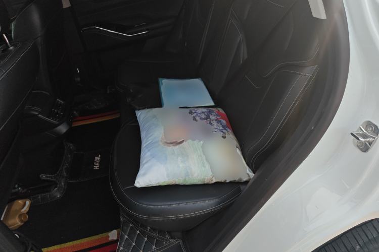 Used Haval H6 2021 3rd Generation 2.0T Automatic Two-Wheel Drive Max