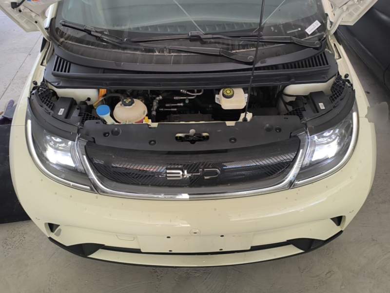 Used BYD Dolphin 2024 Honor Edition 420km Fashion Version — 19