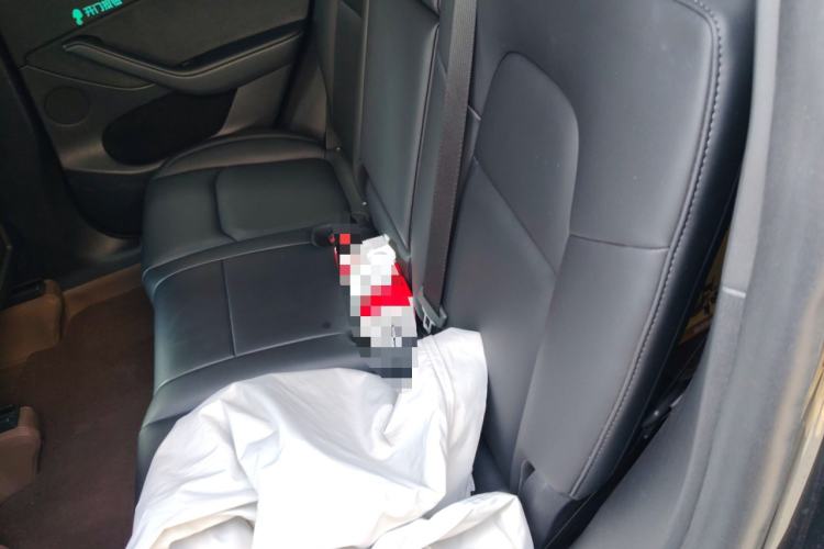 Used Tesla Model Y 2024 Rear-Wheel-Drive Version