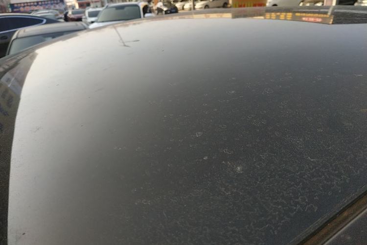 Used Tesla Model Y 2023 Rear-Wheel-Drive Version