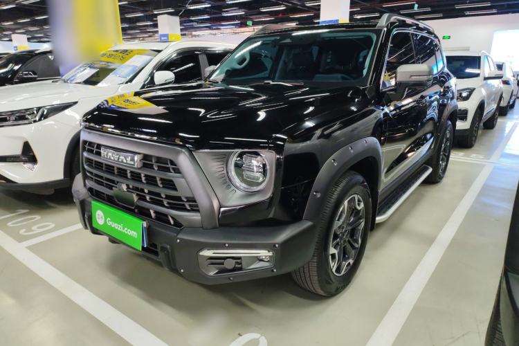 Used Haval DARGO 2024 2.0T DCT Chinese Rural Dog Edition