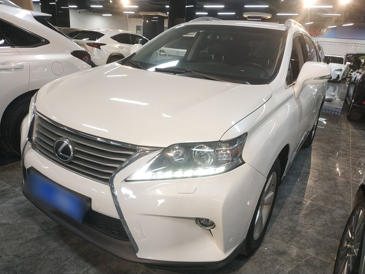 Parte inferior delantera