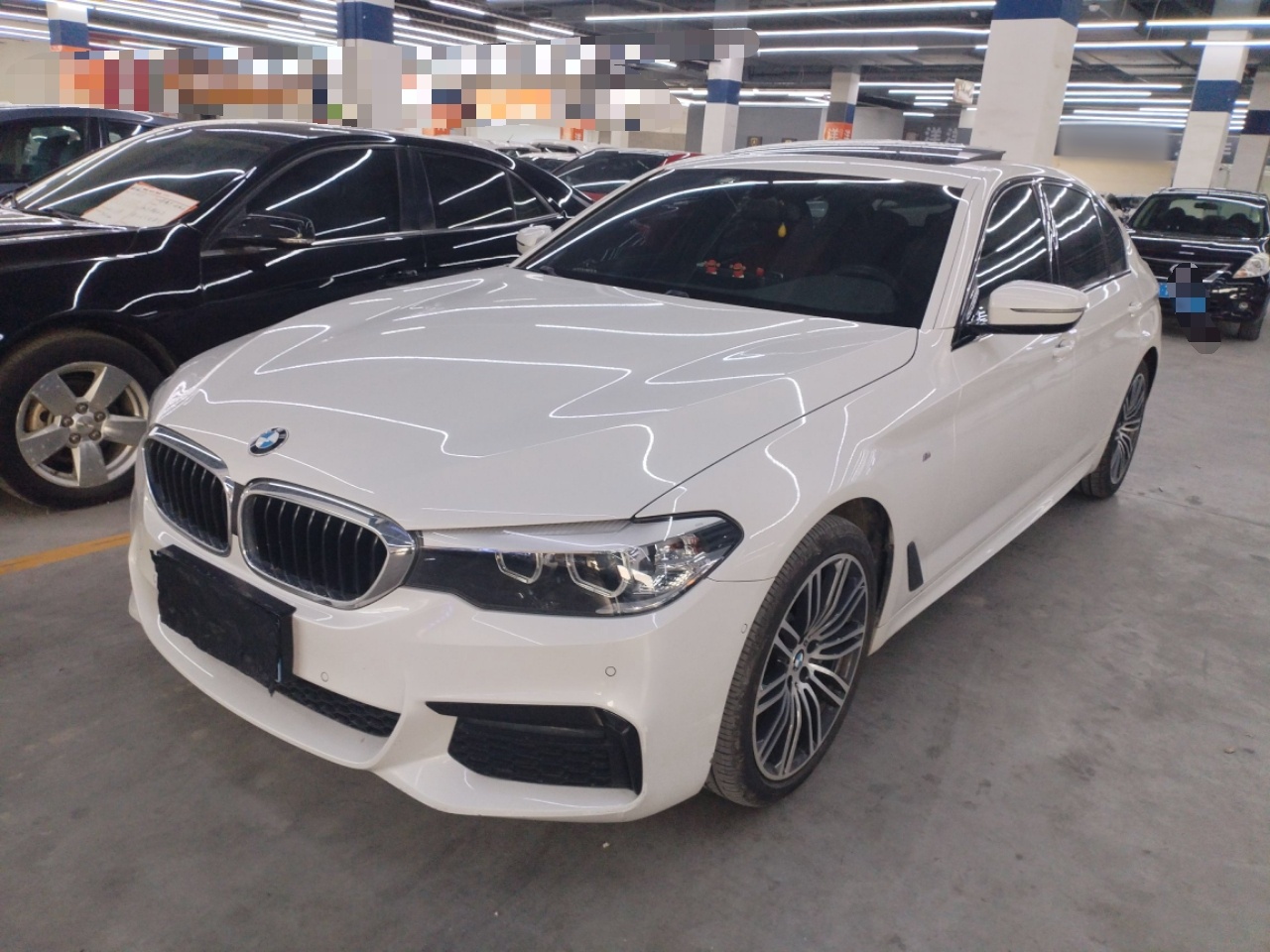 Parte inferior delantera