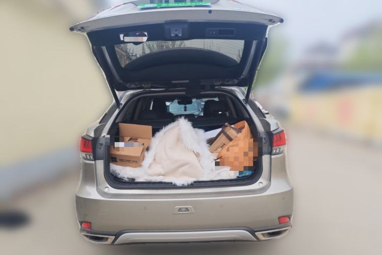 Used Lexus RX 2020 300 Two-Wheel Drive Comfort Edition China VI Standard Trunk