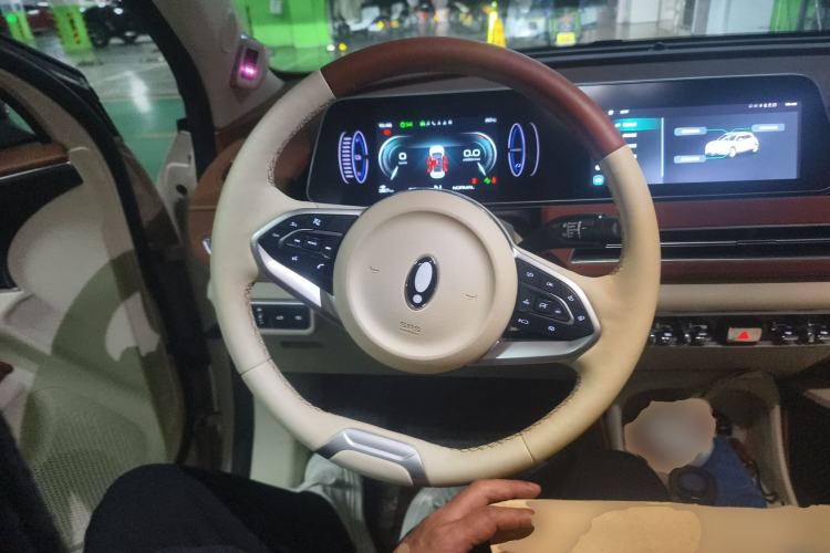 Used ORA Good Cat 2022 Morandi Edition 400km Standard Range Premium Version Lithium Iron Phosphate
