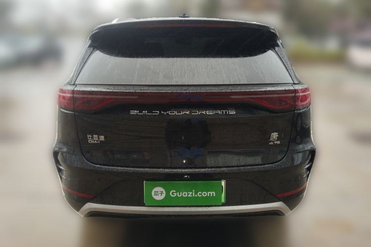 Used BYD Tang New Energy 2024 DM-i Glory Edition 112KM Prestige Model Rear