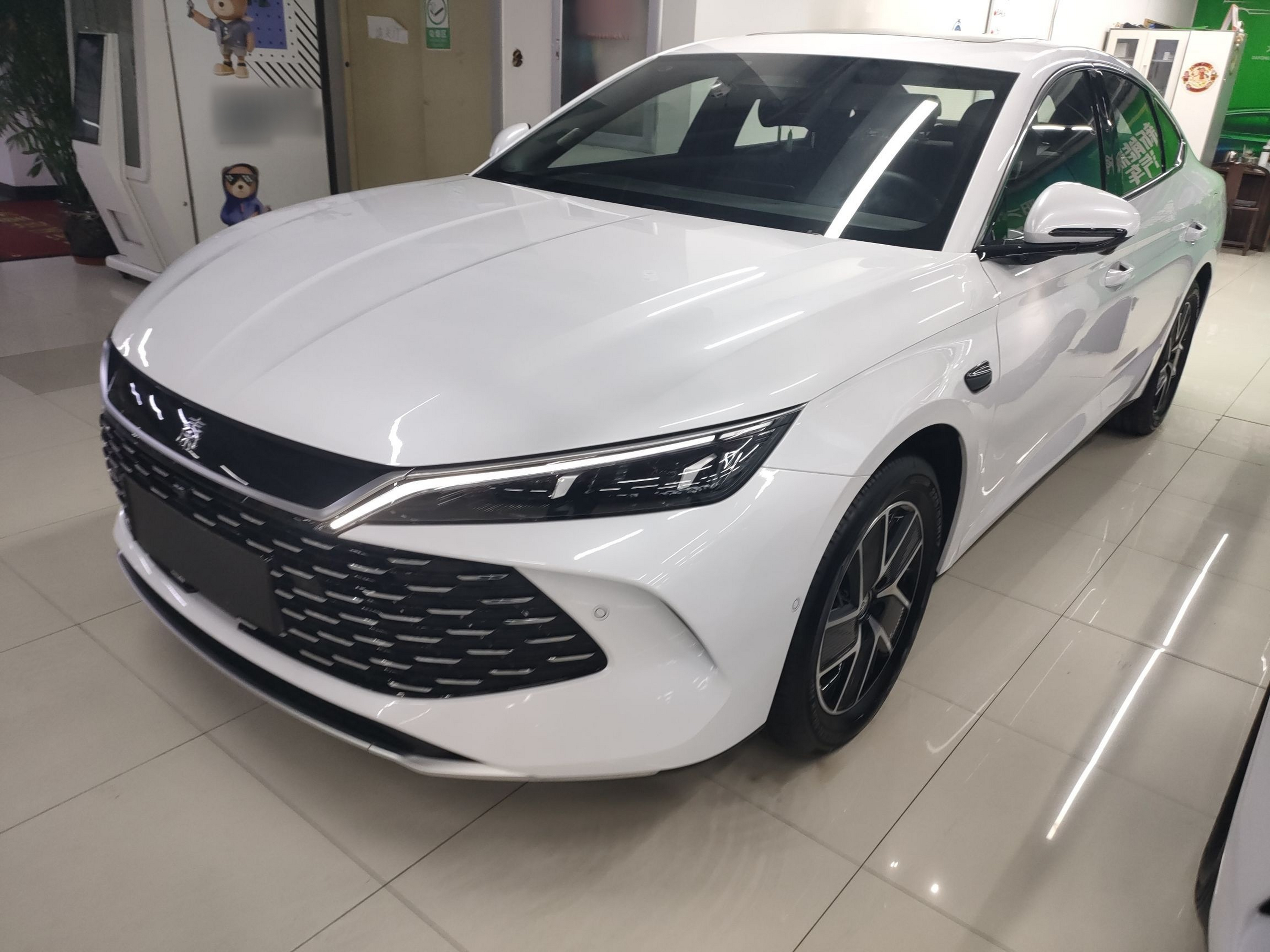 Parte inferior delantera