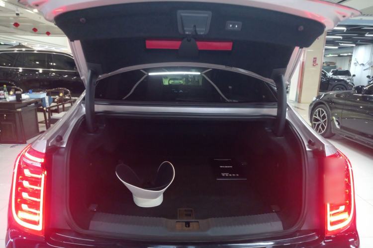 Used Hongqi H9 2020 3.0T Smart Connect Flagship Four-Seat Version Trunk