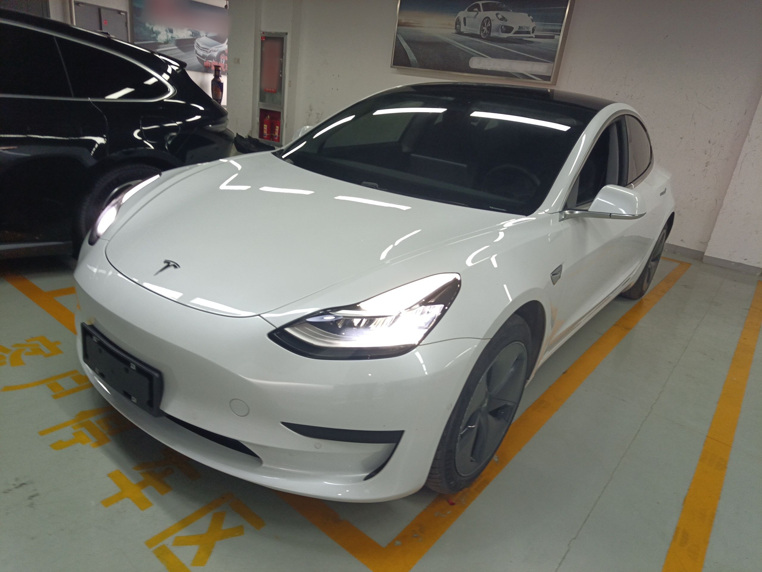 تحت مقدمة السيارة