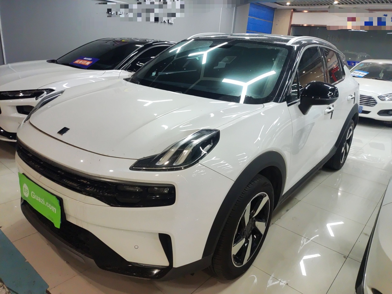 Parte inferior delantera