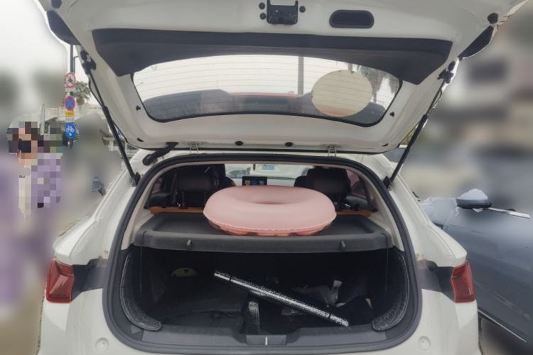 Used BYD e2 2021 Luxury Model