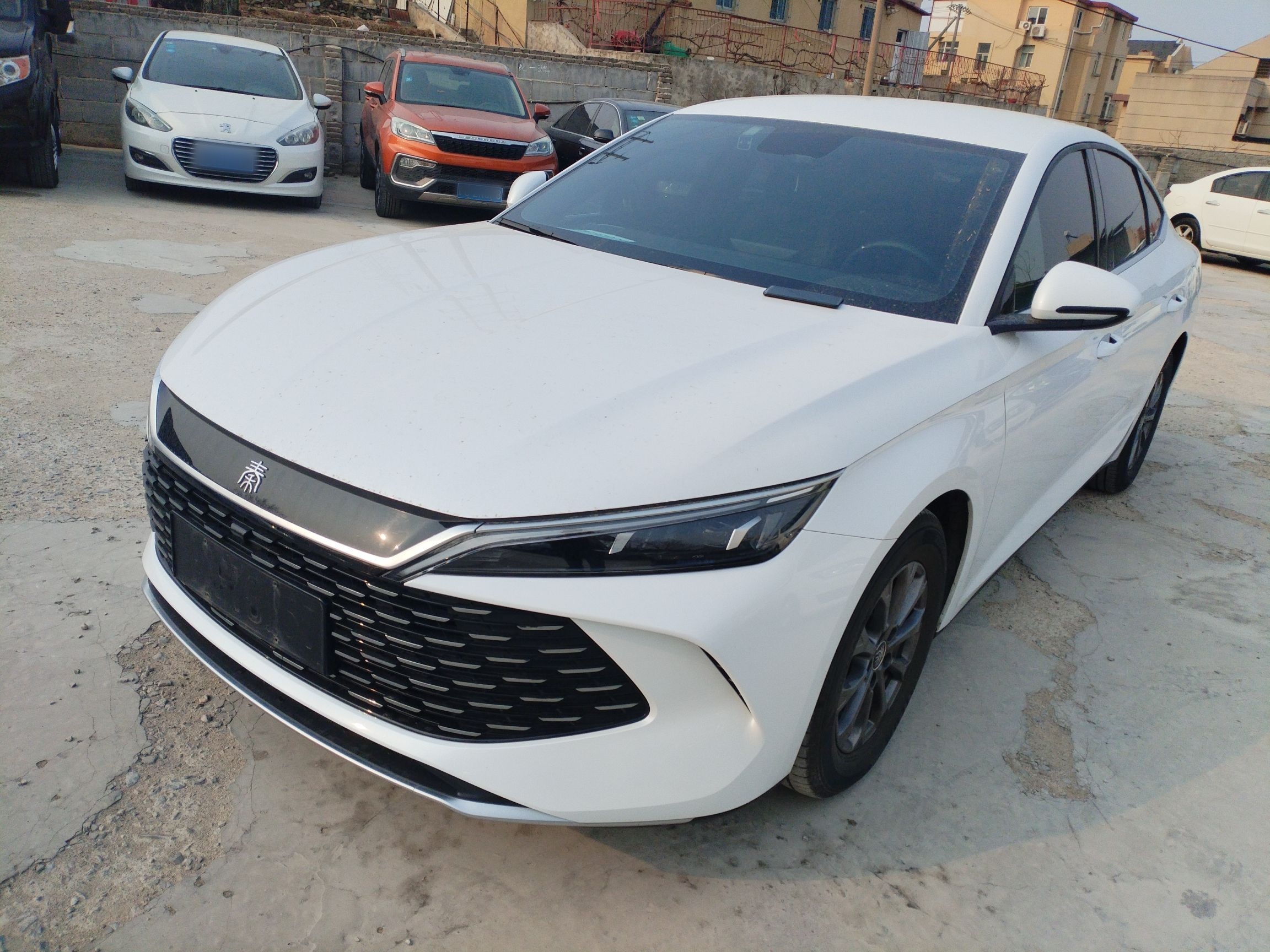 Parte inferior delantera