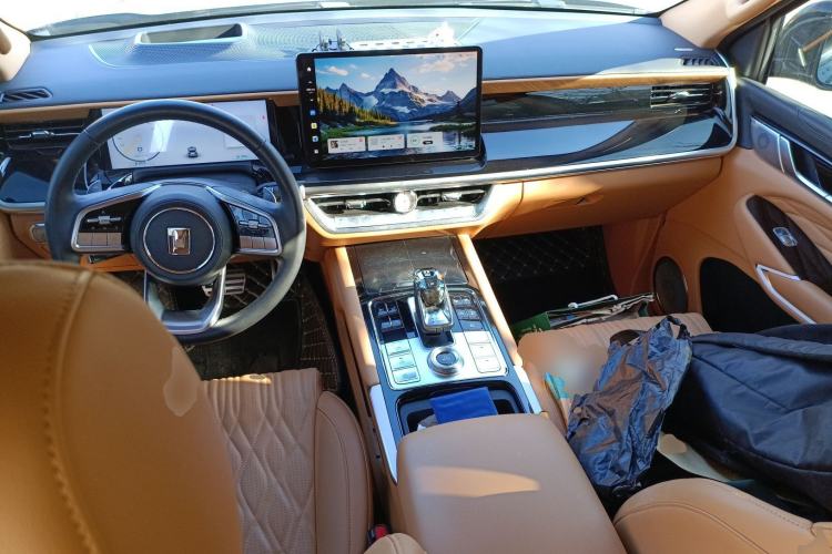 Used Tank 500 New Energy 2024 Hi4-T