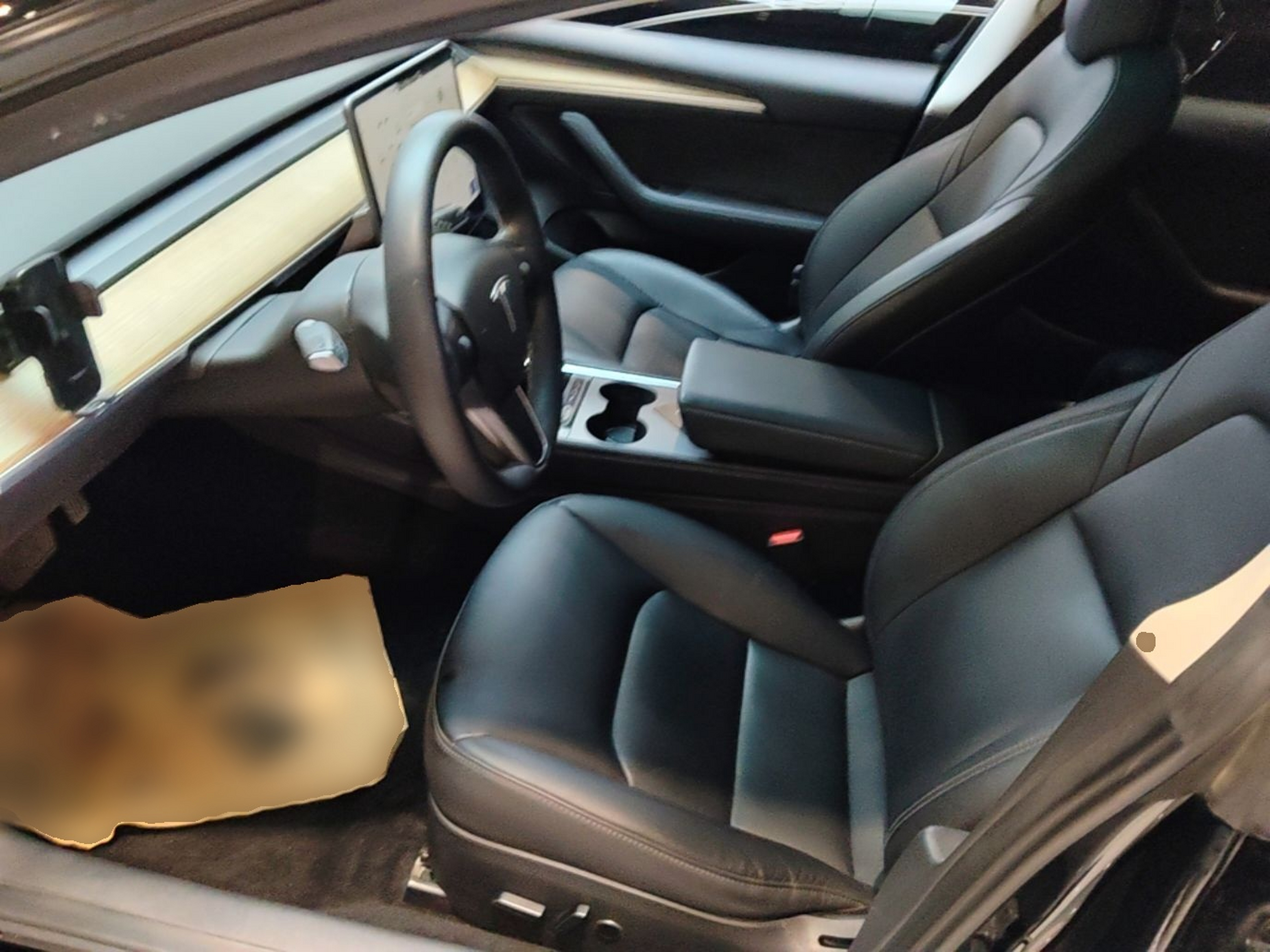 Interior delantero