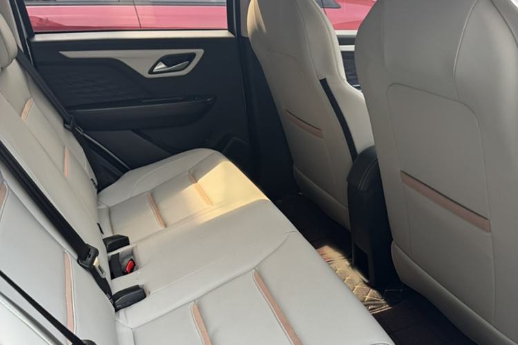 Used SOL E10X 2022 Flower Fairy Design Four-Leaf Clover