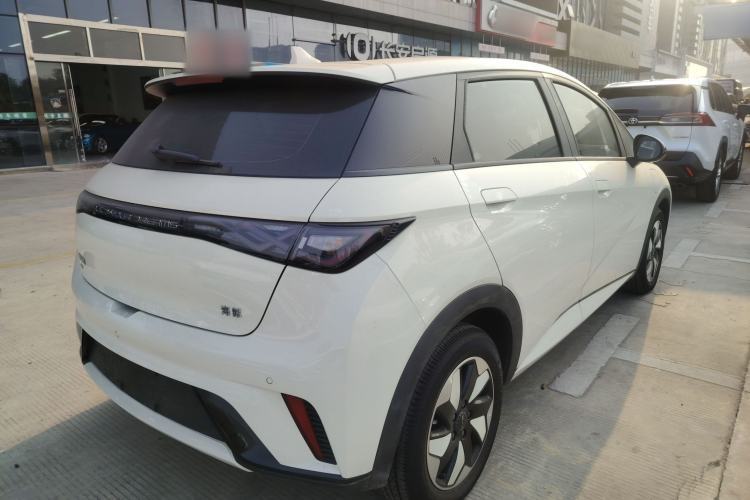 Used BYD Dolphin 2024 Honor Edition 420km Freedom Version