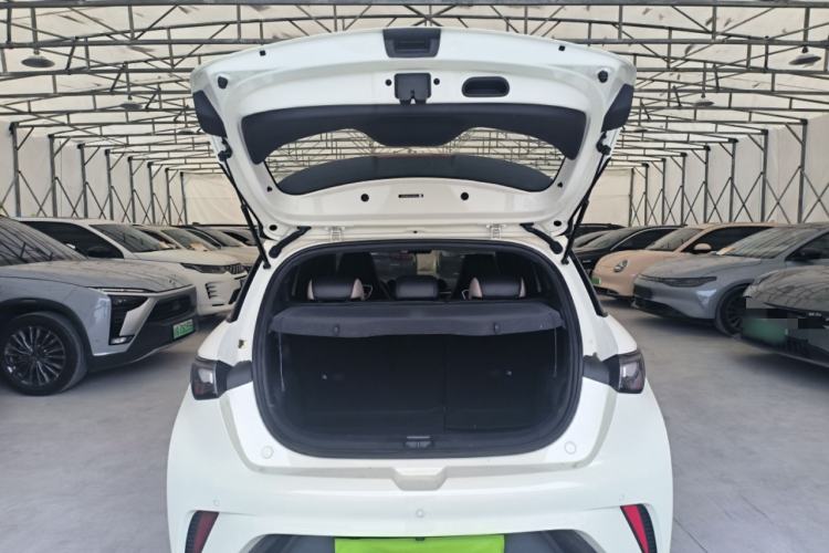 Used BYD Dolphin 2023 420 km Fashion Edition Trunk