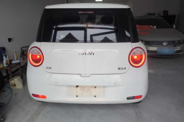 Used Qiyuan Lumin 2024 130km Qingyue Version
