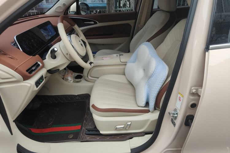 Used ORA Good Cat 2023 401 km Standard Range Premium Trim Ternary Lithium Left Front Seat