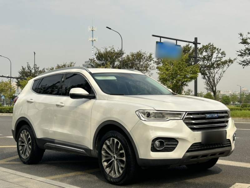 Used Haval H6 2017 Blue Label 1.5T Automatic Two-Wheel Drive ZhiShang Model — 36