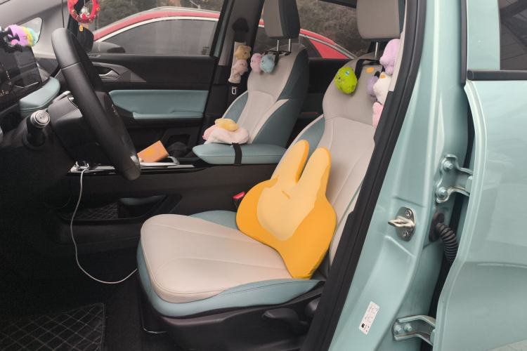 Used Geometry E Firefly 2024 301km Starlight