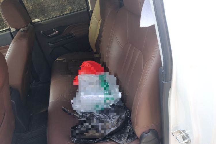 Used Great Wall Wingle 6 2017 2.4L Gasoline Two-Wheel Drive Elite Version 4G69
