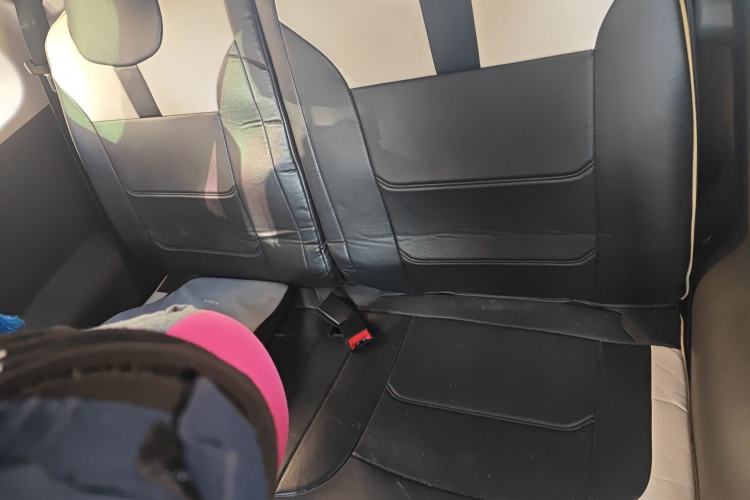 Used Qiyuan Lumin 2023 205km Xiangqin Version
